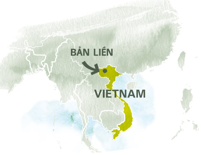 Carte coopÃ©rative Báº£n Liá»n au Vietnam thÃ© vert menthe